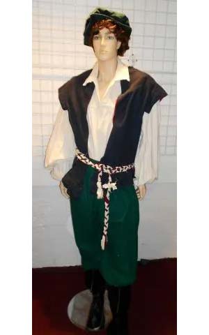 Puritan blue/green cotton