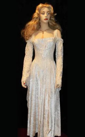 white and velvet lace gown